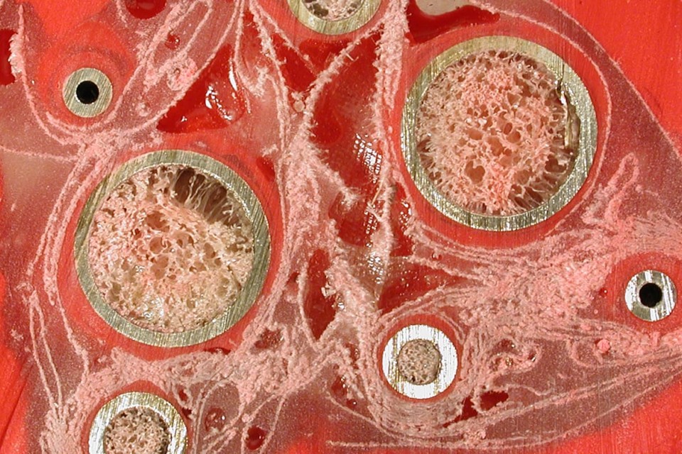 Ruudt Peters – BRON